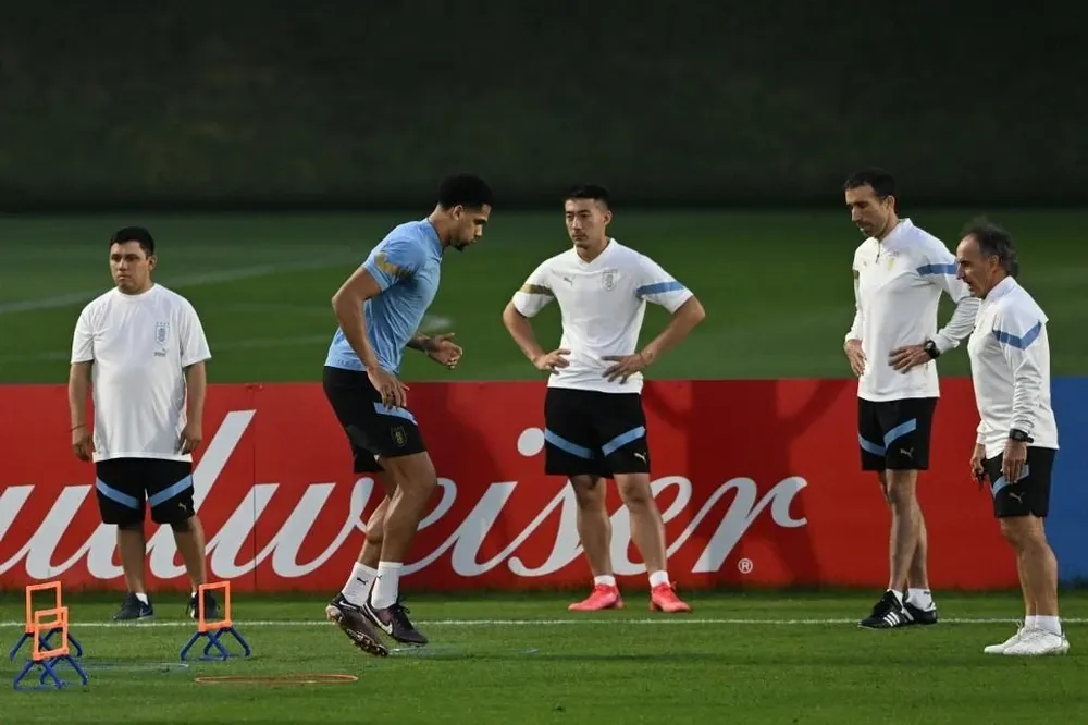 Entrenamiento supervisado de Araujo