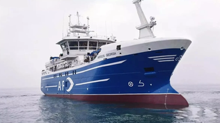 Pesquero Argos Georgia