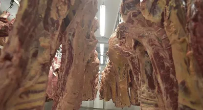 Argentina es el cuarto exportador mundial de carne bovina, con 819.000 toneladas en 2020