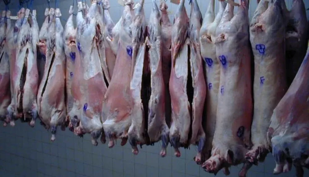 Ventas de carne ovina han caído un 37% en relación a igual período de 2014