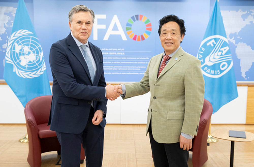 IICA y una instancia de alto valor: el Director General del IICA, Manuel Otero, y la máxima autoridad de la FAO, Qu Dongyu, determinaron&nbsp;acrecentar las&nbsp;acciones para el fortalecimiento de la agricultura familiar y la seguridad alimentaria, tanto en el Caribe como en el Corredor Seco Centroamericano.