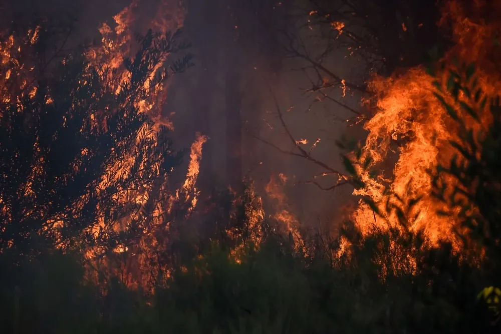 Varios incendios se han desatado en distintos puntos del país.