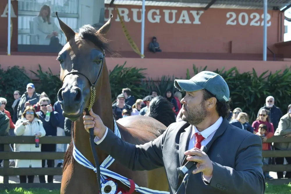 La mejor en la pista de los Árabes.