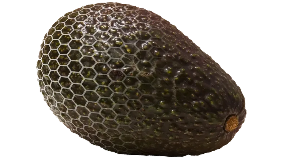Así es la piel orgánica que protege a los aguacates, aunque es invisible al ojo humano.
