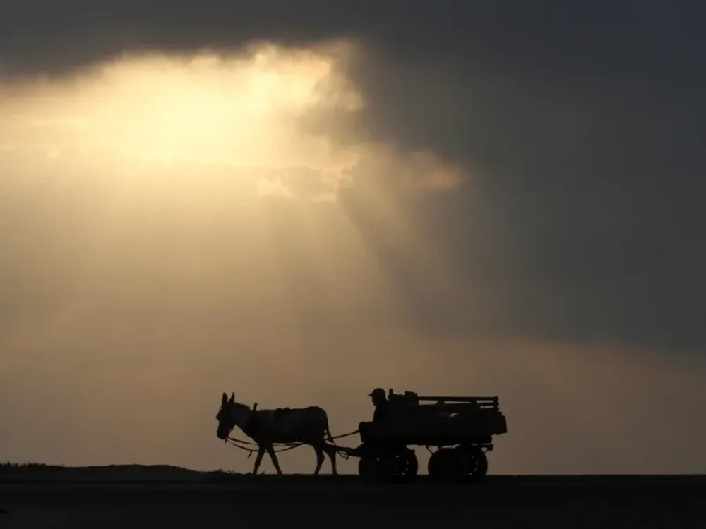 Un palestino dirige un carrito tirado por un burro en la franja de Gaza