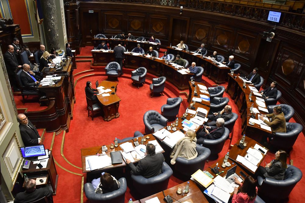 El Senado votó este martes la ley de Financiamiento de Partidos Políticos, que deberá ser ratificada por Diputados para su aprobación final