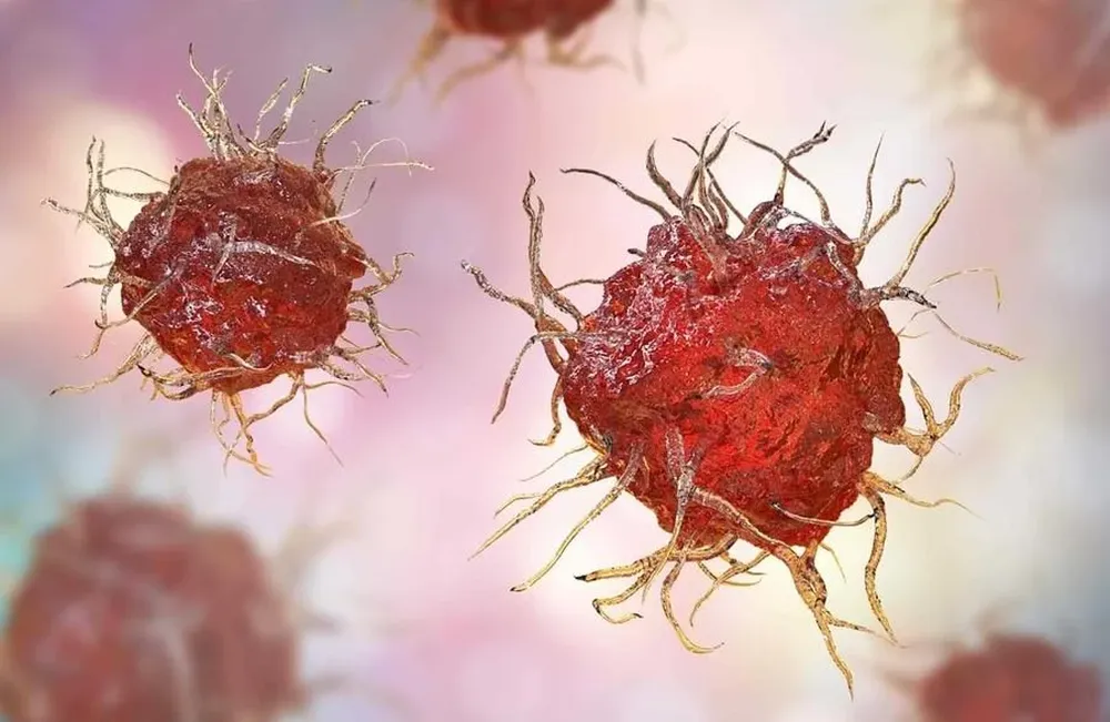 Diez tips para fortalecer el sistema inmune