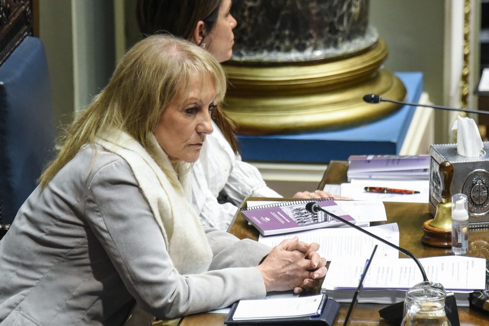 La vicepresidenta Carolina Cosse en el Senado. Archivo