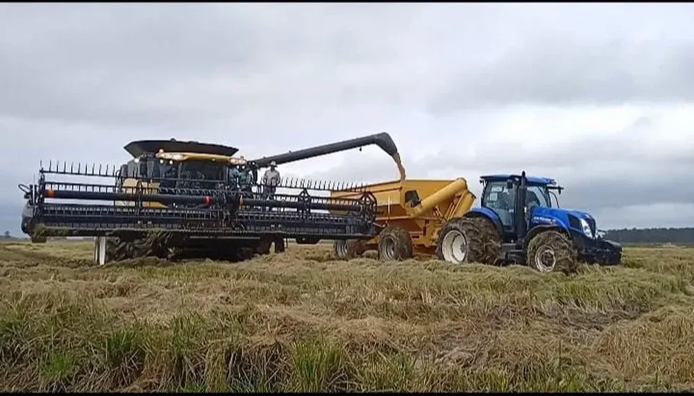 La ACA y el MGAP firmarán un acuerdo para donar entre 20 mil y 30 mil fardos.