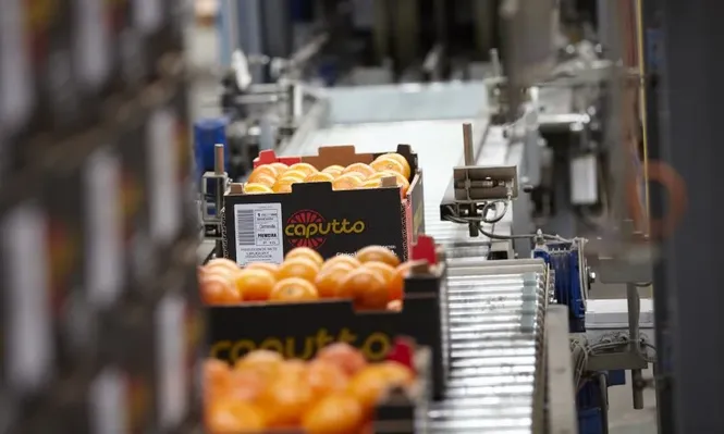 Gobierno busca aprobar asistencia a Caputto por US$ 3.500.000 este viernes