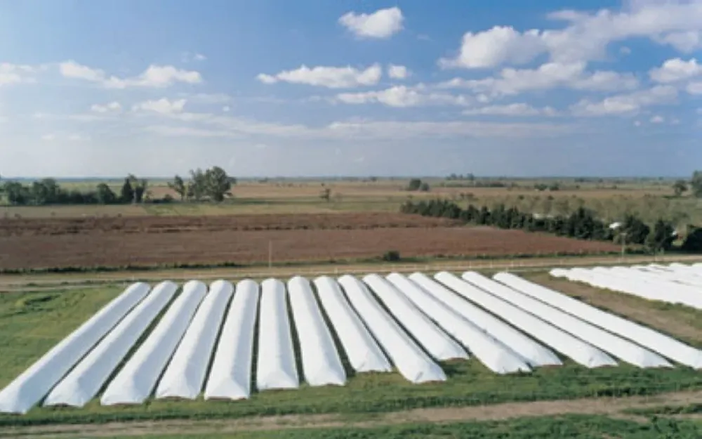 Agricultura