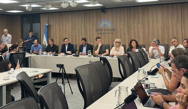 Diputados opositores denunciarán al fiscal Eduardo Taiano por presunto encubrimiento del caso $LIBRA.