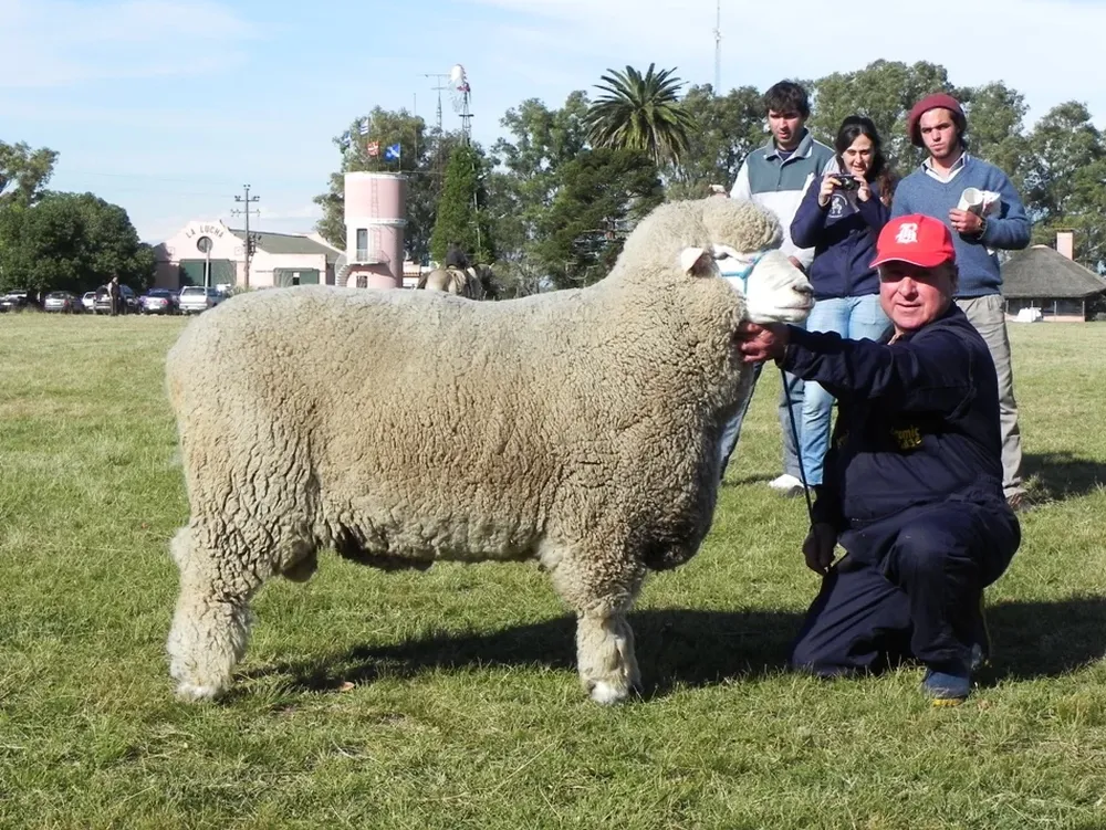 El Gran Campeón de la Expo Prado 2011, de cabaña La Lucha
