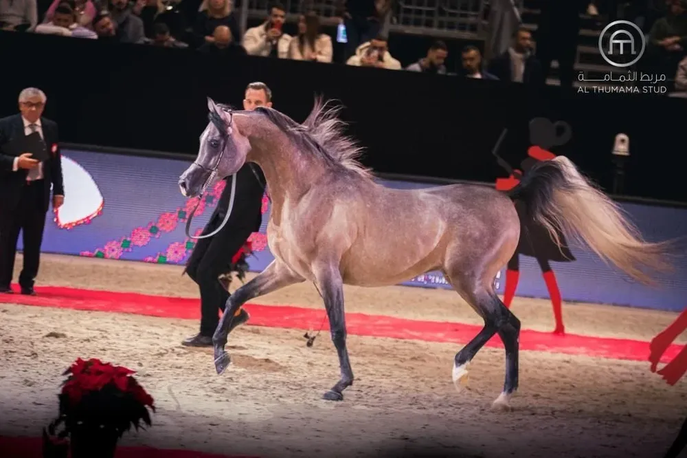 LR Solo Mio participó en el Mundial, que se hizo en París.