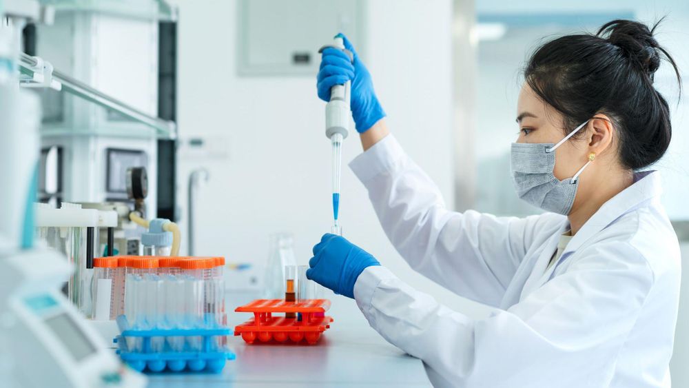 https://www.bbc.com/mundo/articles/cy929gpl9l7o