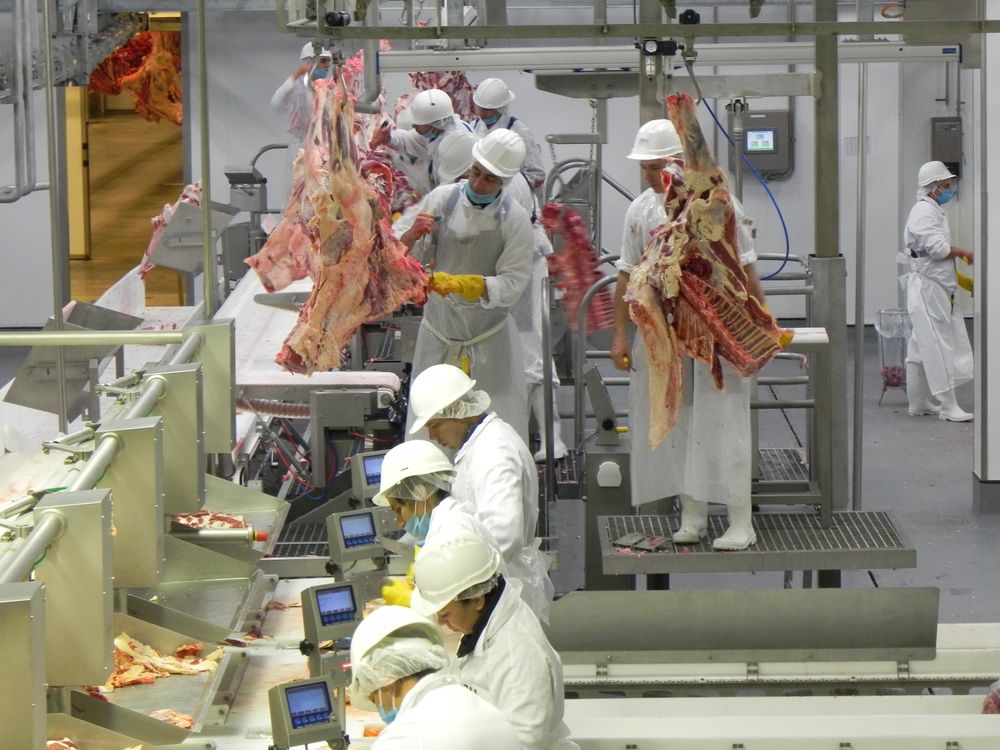 Carnes: las exportaciones del sector agroindustrial cárnico siguen siendo de alta relevancia para Uruguay.