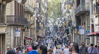 Cifras récord de tusimo en España.