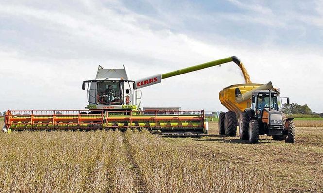El Gobierno reduce las retenciones a las exportaciones agropecuarias: los nuevos porcentajes