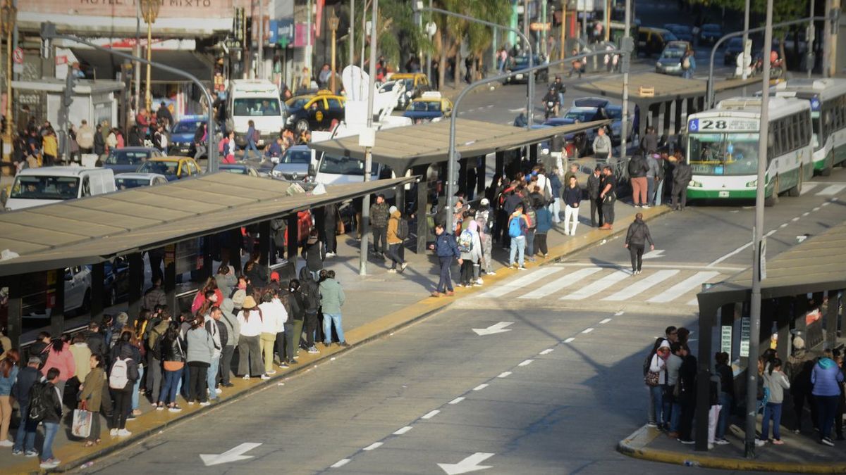Paro de colectivos de la UTA en el AMBA: ¿Qué líneas no circulan hoy ...