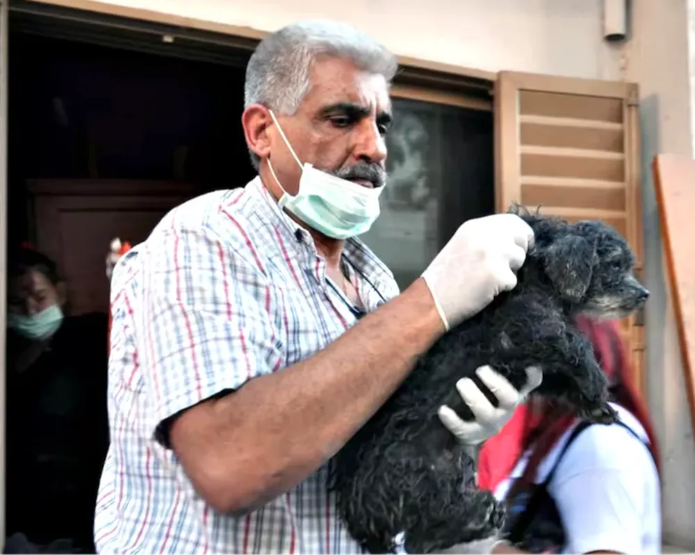 El empresario dedicaba su vida a la protección de animales
