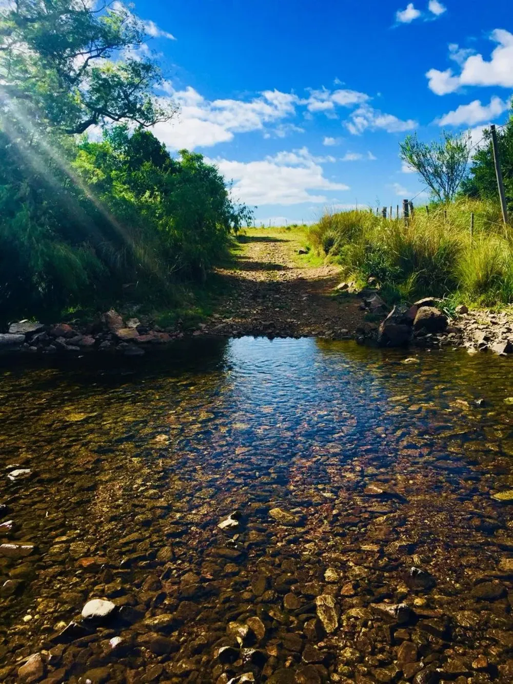 Cuidado de la naturaleza