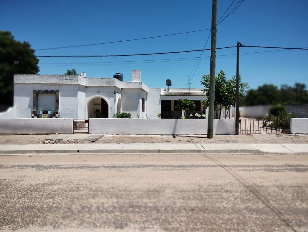 Trinidad, Flores.&nbsp;