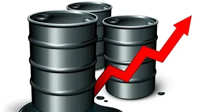 El Observador | 1710419567341.webp