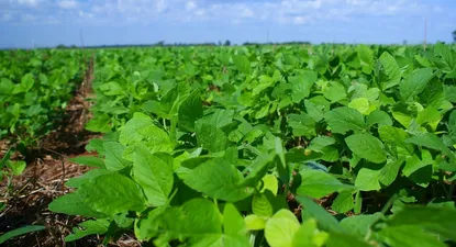 Itaú Empresas lanza Itaú Commodities