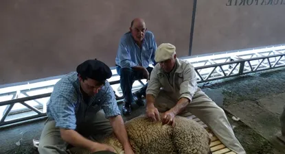 El Observador | 0001951402.webp