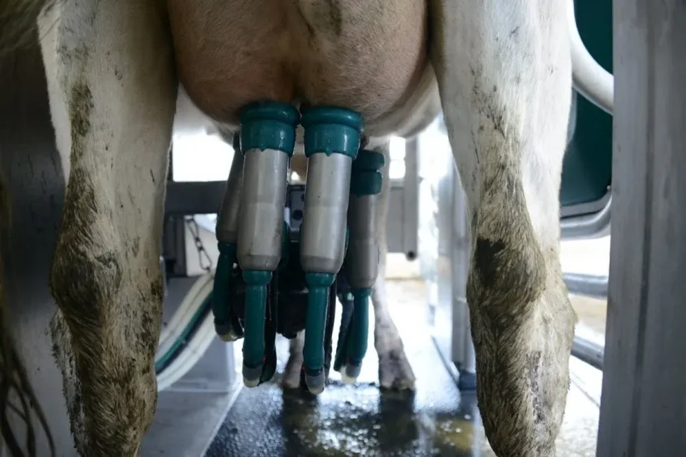 Precio al tambero en marzo aumentó un 5%