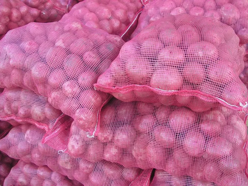 Crecieron los rendimientos por hectárea de la papa.