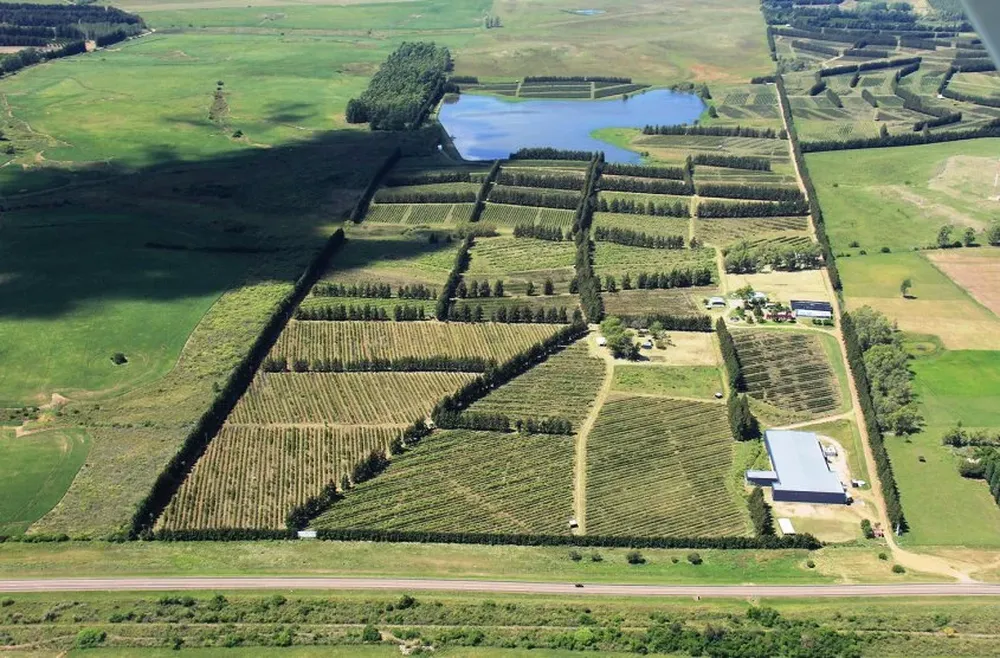 Vista aérea de las 339 hectáreas que ocupan el campo y sus construcciones