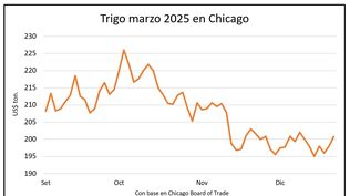 Mercado de granos, Blasina y Asociados.