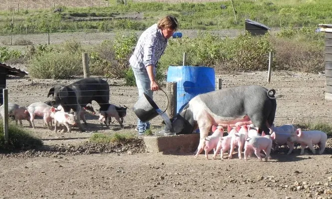 Uno de los objetivos es agrupar más a los productores