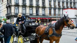 Bruselas le dice adiós a los carruajes con caballos
