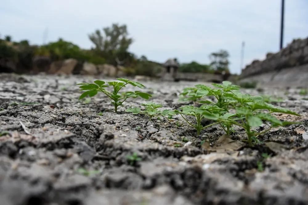 Suelo de las Canteras del Parque Rodó. (Archivo)