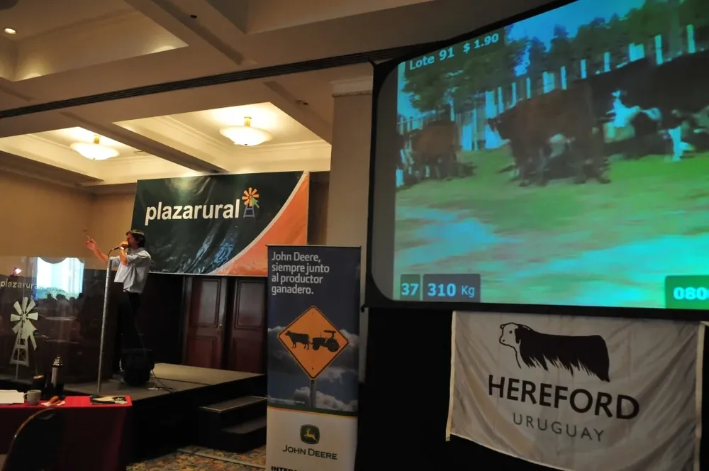 El remate se desarrolla este martes y miércoles en el Sheraton