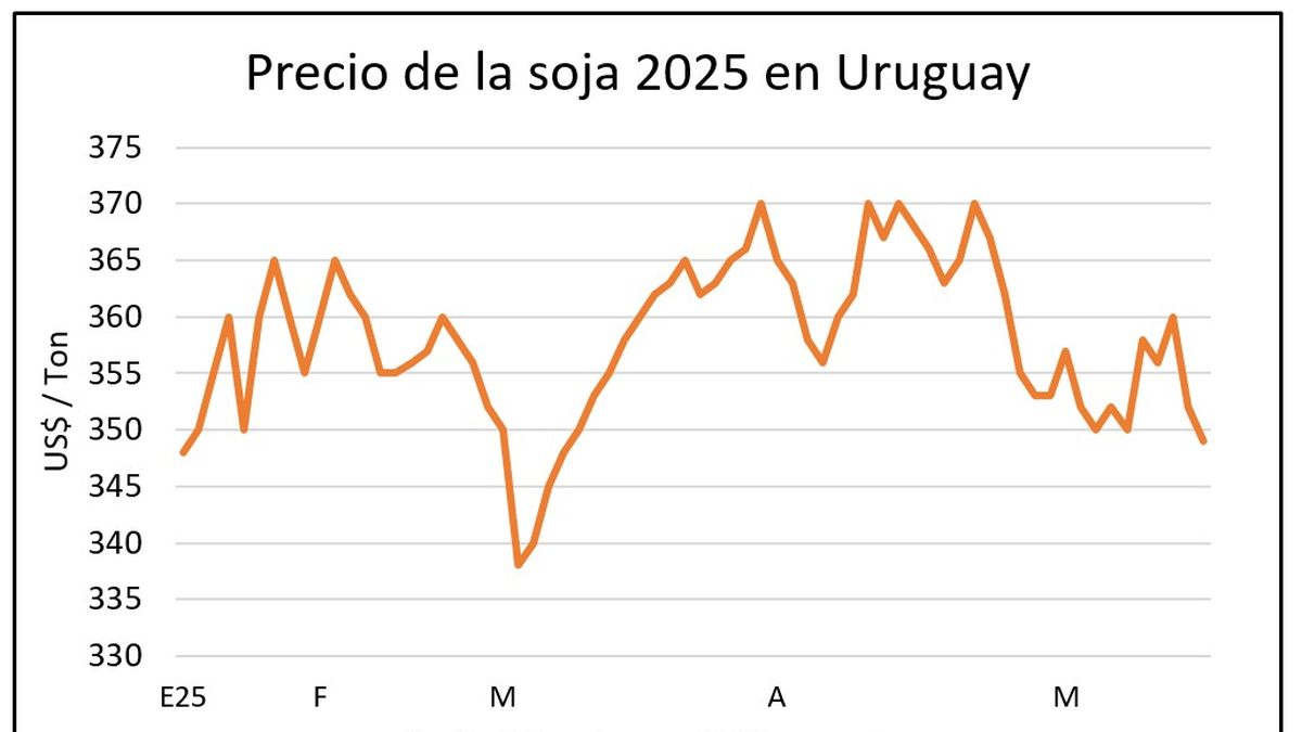 La soja con el precio desplomado justo cuando avanza una cosecha récord en Uruguay