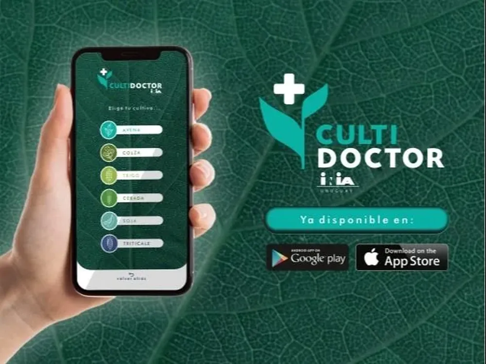 CultiDOCTOR_Uy