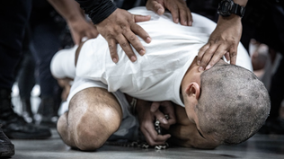 Ni el gobierno estadounidense ni el salvadoreño han hecho públicas las identidades de los deportados ni presentado evidencias de sus presuntos vínculos criminales.