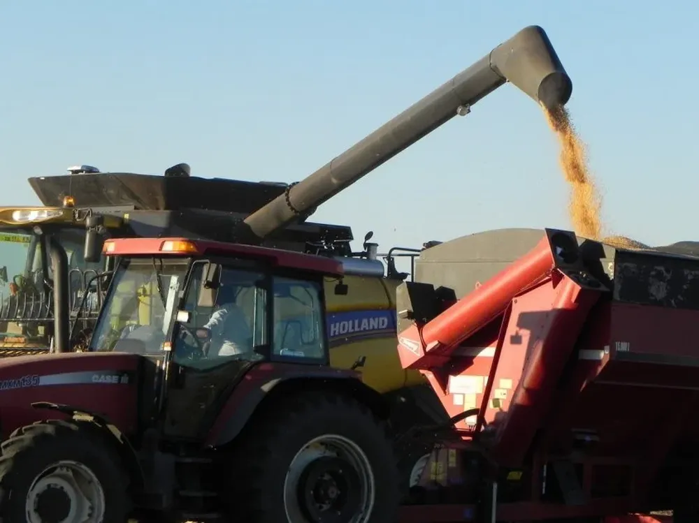 Precio de la oleaginosa dio otro salto el pasado lunes 3, moderado luego entre miércoles y jueves