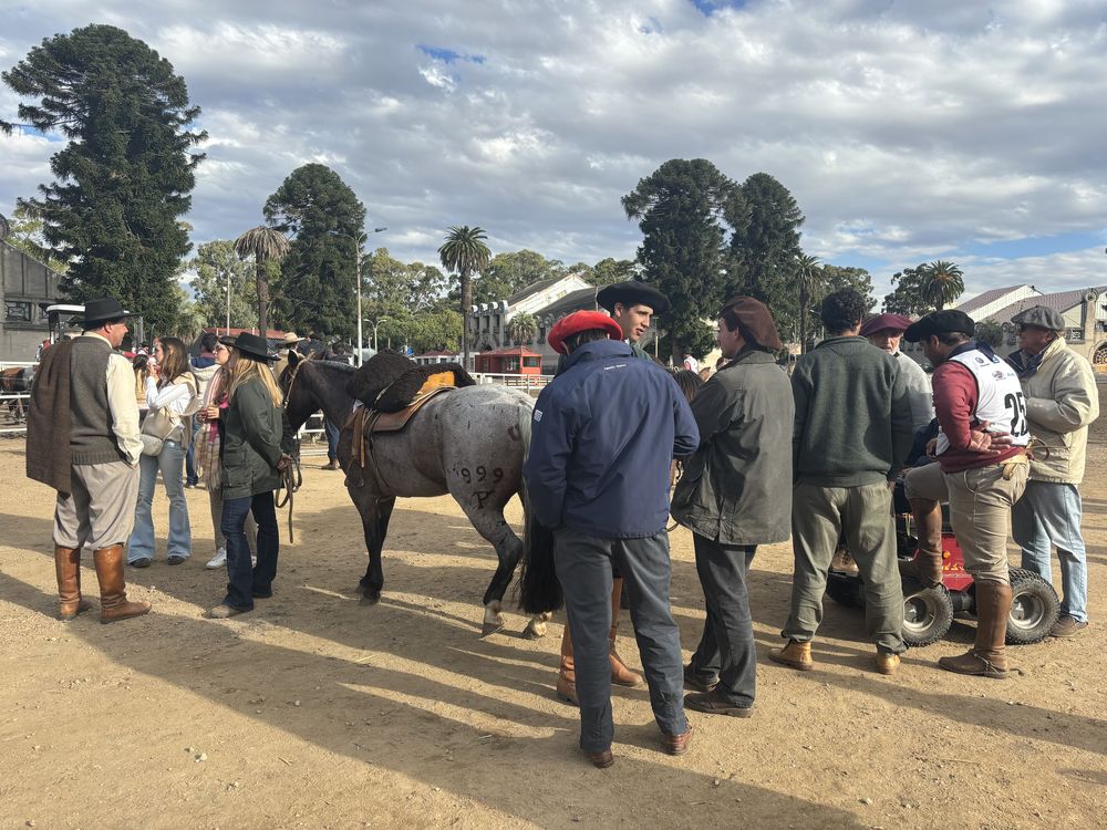Caballos Criollos: Expo Oto&ntilde;o 2024 en la Rural del Prado.