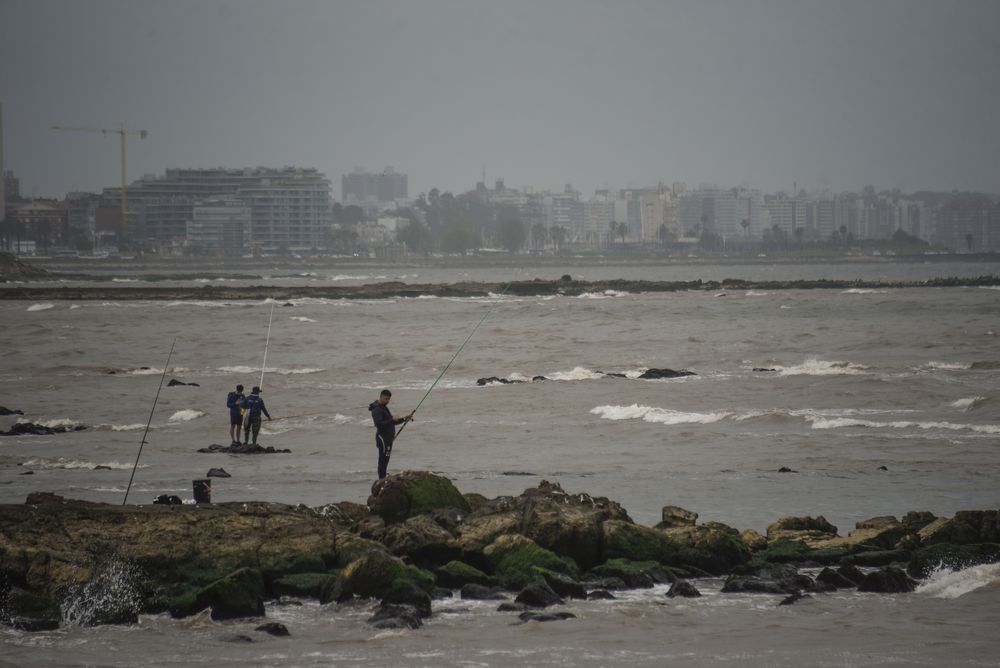 20241014 Vista de la costa de Montevideo, gente pesacando en las rocas, estado del tiempo, día nublado.