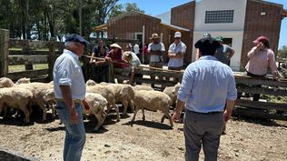 Empresario de la industria frigorífica anunció una colaboración relevante para una escuela agraria modelo (en la foto se ven parte de las instalaciones del centro educativo).