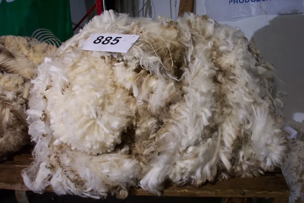 Vellón de lana de la raza Ideal.