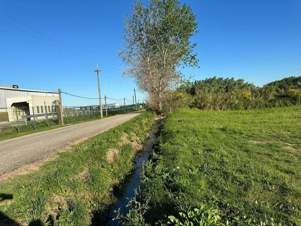 Ideal para inversión.