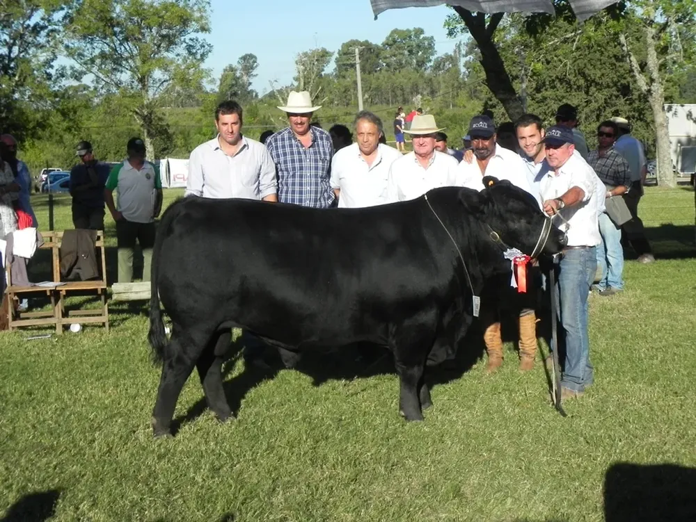 El Gran Campeón Angus de la 100ª Expo Durazno