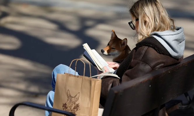 Los lectores superan por primera vez en España el 65 % de la población