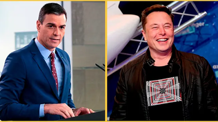 Pedro Sánchez, presidente del Gobierno español y el magnate tecnológico, Elon Musk.