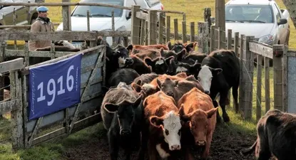 buenos negocios concreto valdez y cia en don tito y fraile muerto